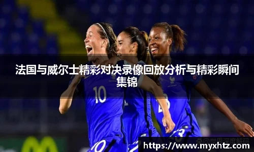 法国与威尔士精彩对决录像回放分析与精彩瞬间集锦